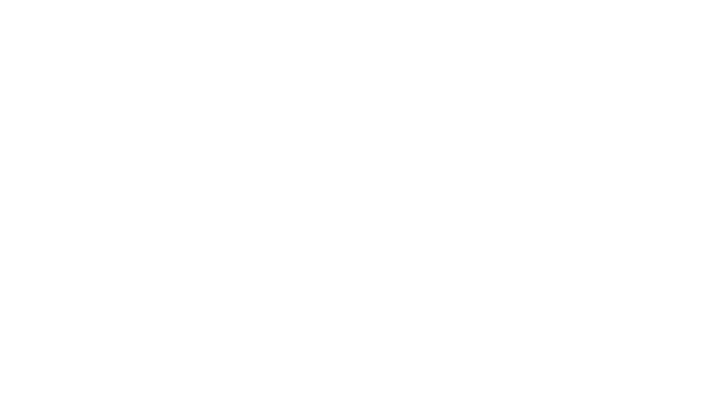 Satva Info Tech